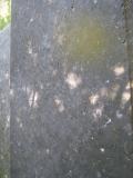 image of grave number 503691